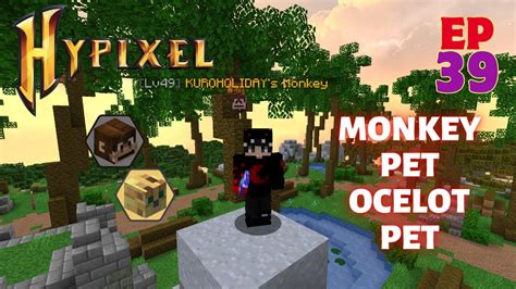 ocelot pet hypixel